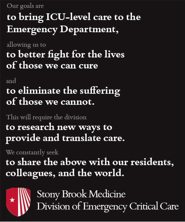 健康・医学 Intensive Care and Emergency Medicine Division of Emergency Critical Care | Renaissance School of